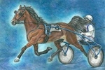 Кобыла Гласность на Саратовском ипподроме выиграла групповой заезд для лошадей призовых пород 2012 г.р.
